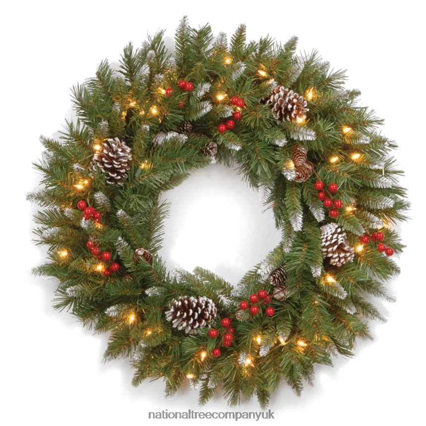Greenery | National Tree Company Pre-Lit Artificial Christmas Wreath Green Frosted Berry White Lights Decorated with Pine Cones Berry Clusters Frosted Branches Christmas Collection 24 Inches F